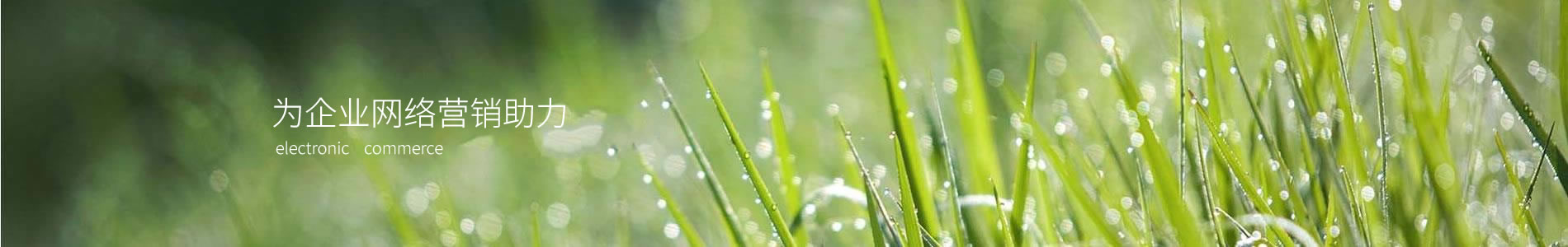 ҼƼ޹˾